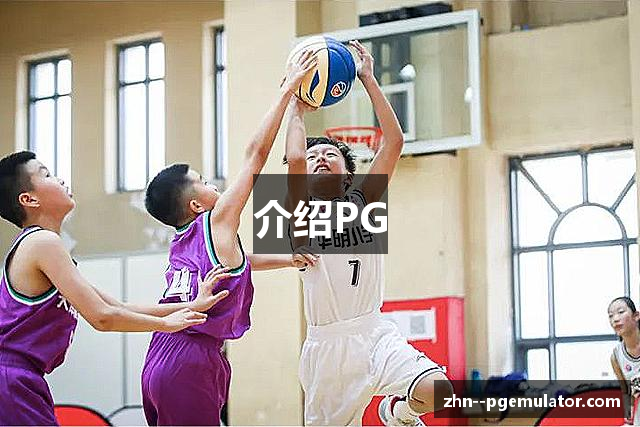 介绍PG
